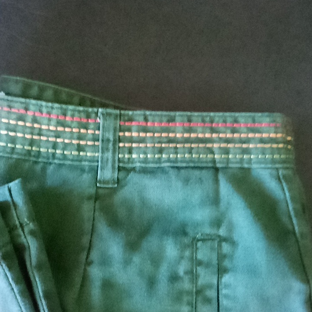 Christopher & Banks Dark Green Embroidered Capris - Picture 3 of 3